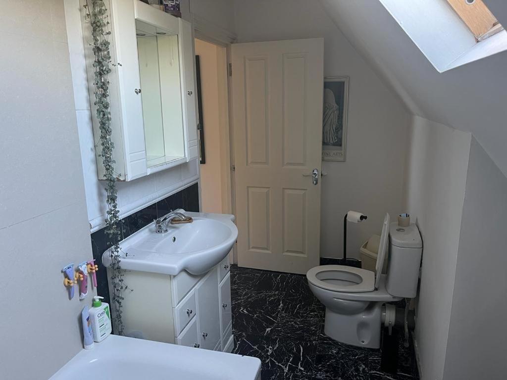 2 Bedroom Top Floor Flat, West Dulwich Free Street Parking Londra Esterno foto